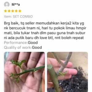 WhatsApp Image 2025-11-15 at 12.34.58 (2) (1)