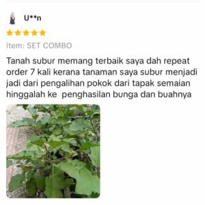 WhatsApp Image 2025-11-15 at 12.34.58 (3) (1)