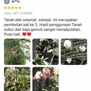 WhatsApp Image 2025-11-17 at 09.19.10 (1)